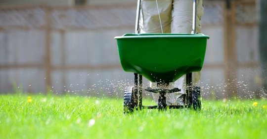 fertilizing lawn