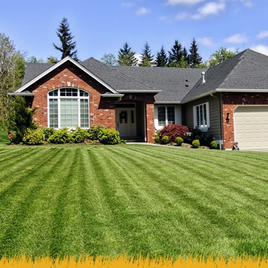 Turf Management & Weed Control